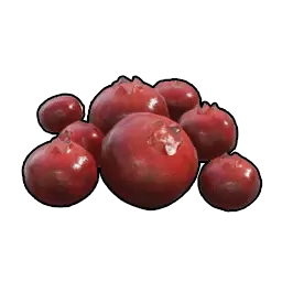Bayas rojas
