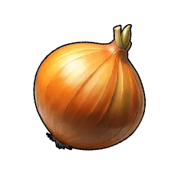 Cebolla