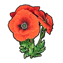 Flores bonitas