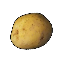 Patata